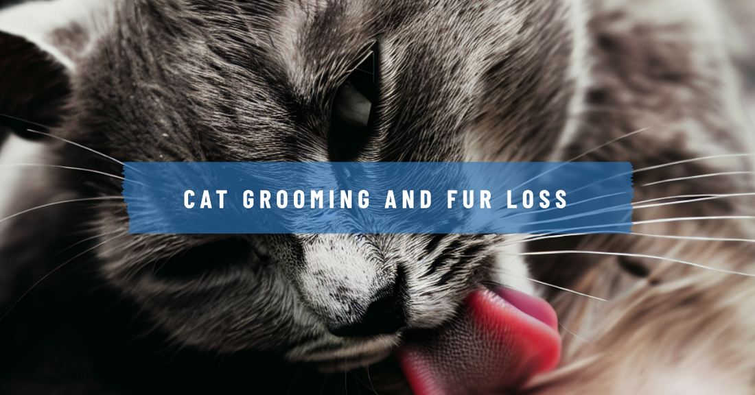 Taming the Twitch: Preventing Cat Grooming Behaviors that Lead to Fur Loss