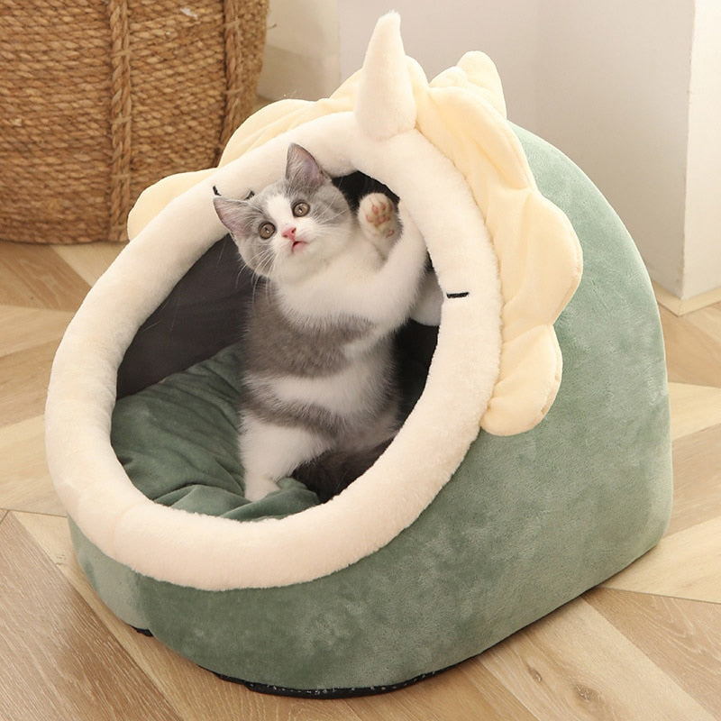 Kitty Cave