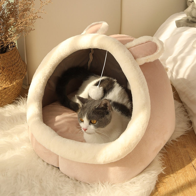 Kitty Cave