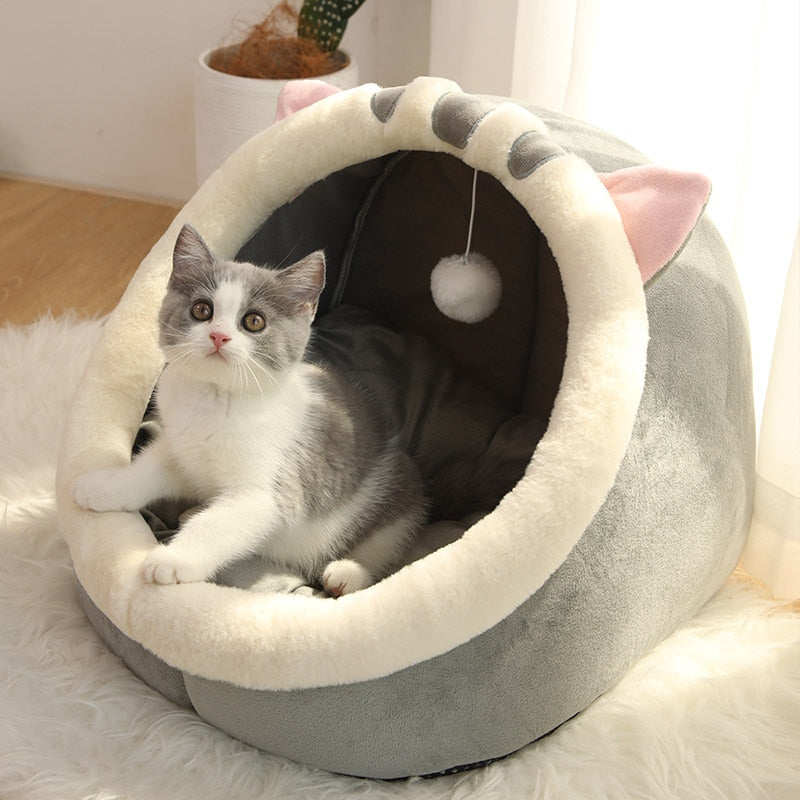 Kitty Cave