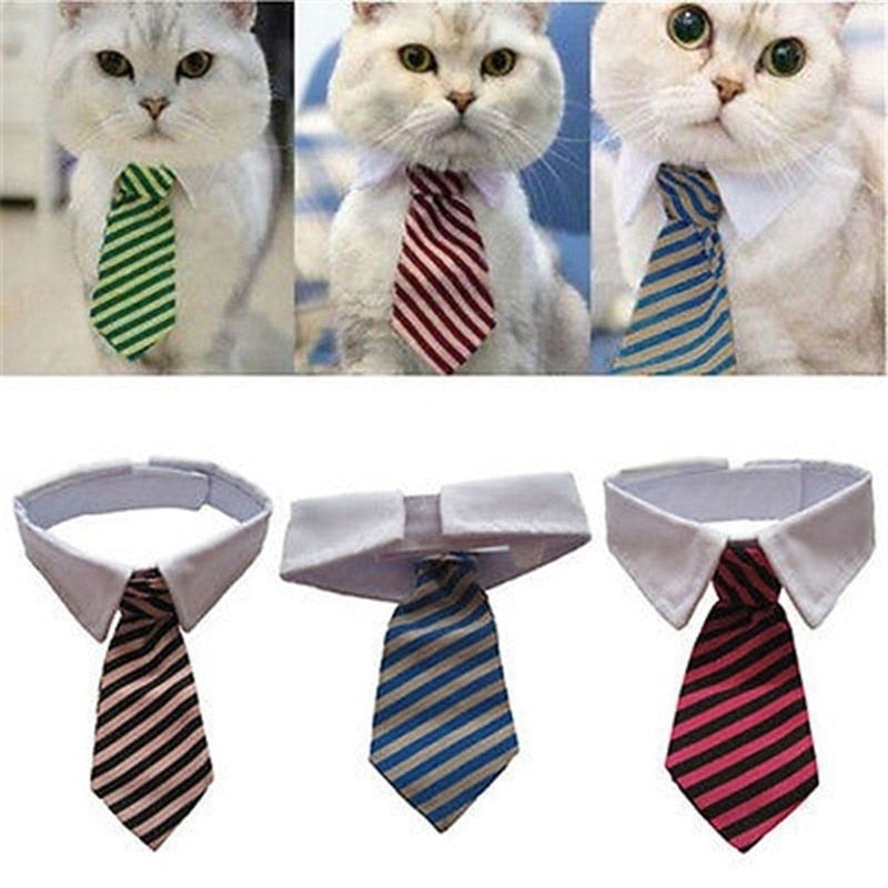 Executive Boss Cat Ties