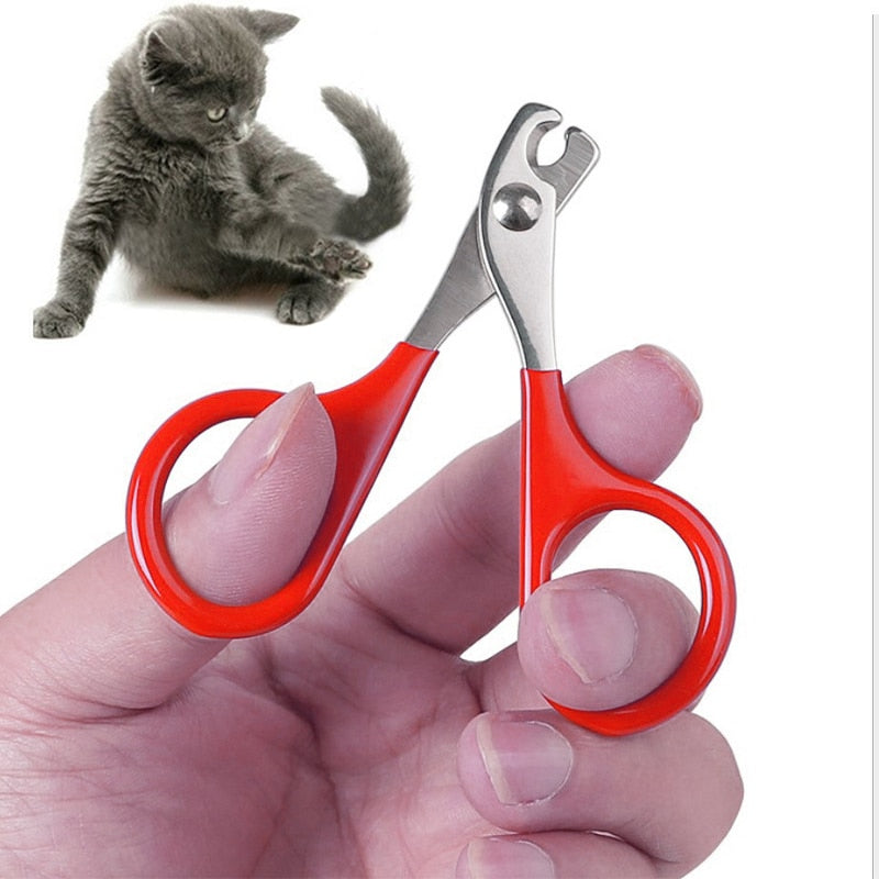 Paw Pedicure Nail Scissors